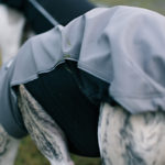 Die neuen Trainingsanzüge von Dog Gear