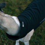 Die neuen Trainingsanzüge von Dog Gear