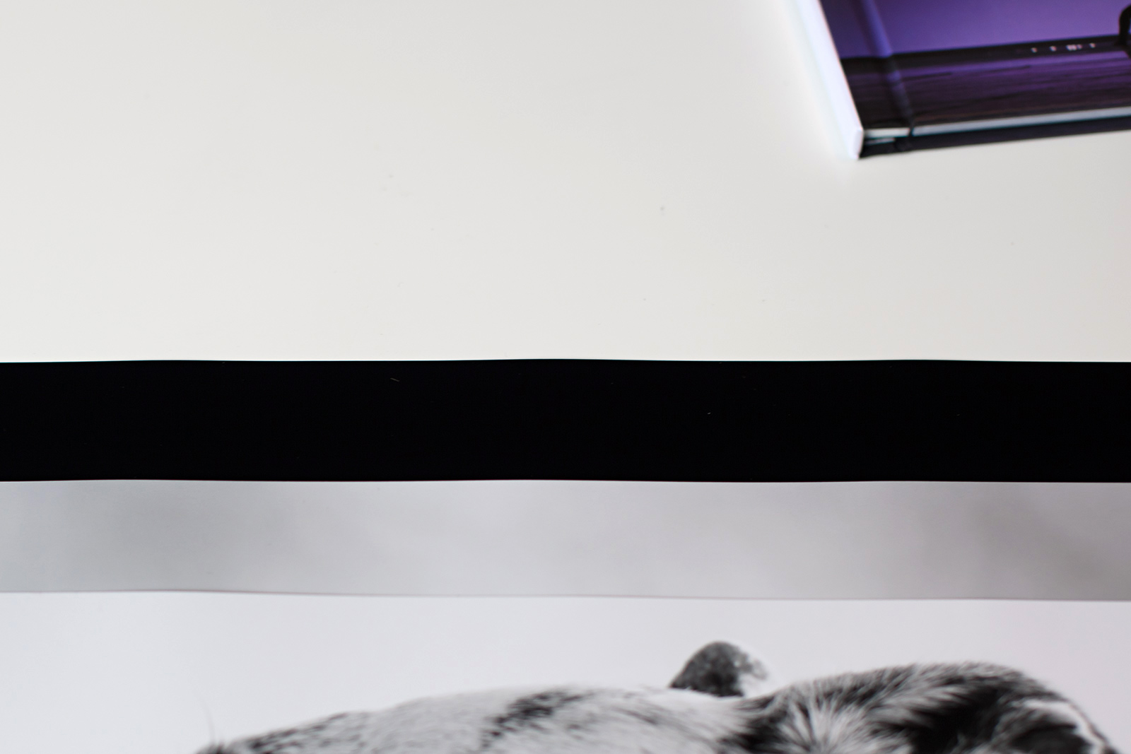 Test: Besser drucken bei Photo Dose? Teil II
