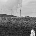 Windstille ist auf unserer Halde ein sehr seltenes Phänomen.