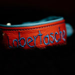 Ein Halsband von Leroiy für Hudson of Little Goblin - der Text passt wie die Faust aufs Auge