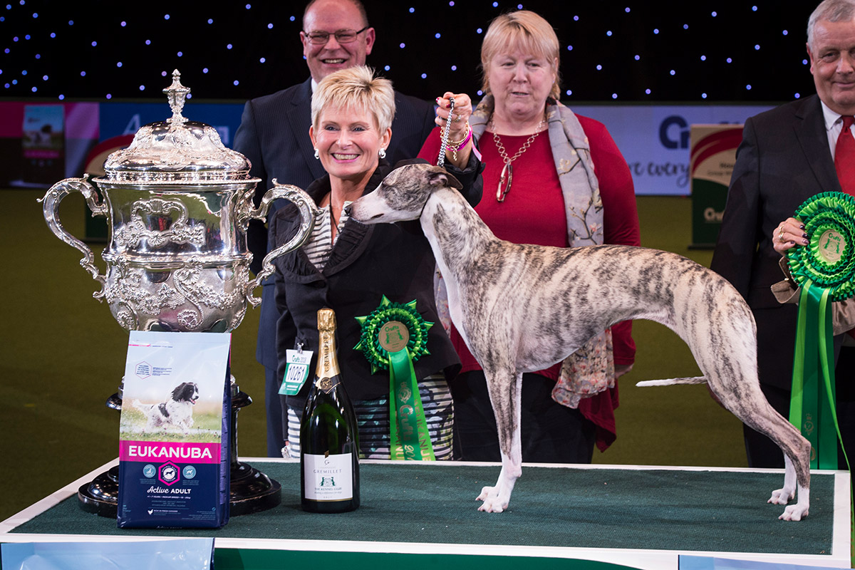 Collooney Tartan Tease, ihre Besitzerin Yvette Short und ihre Züchterin Vivien Coulter , Collooney Whippets, aus Schottland. Foto: Flick.digital