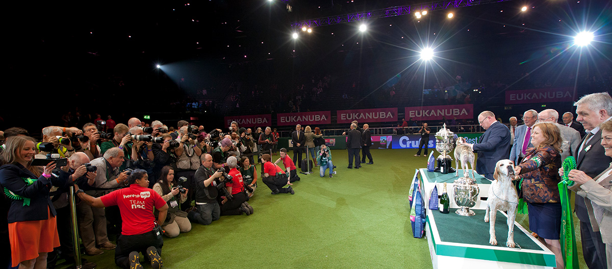 Fly Tease fly! Ein paar Gedanken zur Crufts 2018 Foto: Flick.digital