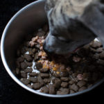 Danny darf die Foto-Portion Belcando Mastercraft Fresh Beef mit einer Tüte Topping oben drauf auffuttern.