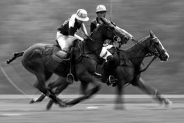 Polo 2018 – High Goal in Schwarz-Weiß