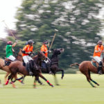 Das Wein & Polo Festival beim Rhein Polo Club Düsseldorf