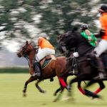 Das Wein & Polo Festival beim Rhein Polo Club Düsseldorf