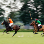 Berti Salazar - Das Wein & Polo Festival beim Rhein Polo Club Düsseldorf