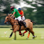 Das Wein & Polo Festival beim Rhein Polo Club Düsseldorf