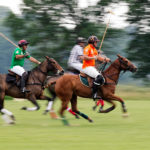Das Wein & Polo Festival beim Rhein Polo Club Düsseldorf