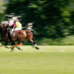 Das Wein & Polo Festival beim Rhein Polo Club Düsseldorf
