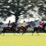 Das Wein & Polo Festival beim Rhein Polo Club Düsseldorf