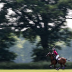 Das Wein & Polo Festival beim Rhein Polo Club Düsseldorf
