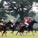Das Wein & Polo Festival beim Rhein Polo Club Düsseldorf