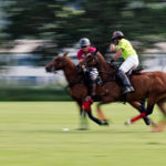 Das Wein & Polo Festival beim Rhein Polo Club Düsseldorf