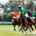 Beim Rhein Polo Club in Düsseldorf