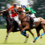 Das Wein & Polo Festival beim Rhein Polo Club Düsseldorf