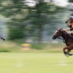 Das Wein & Polo Festival beim Rhein Polo Club Düsseldorf