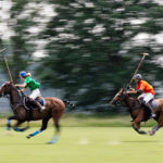 Das Wein & Polo Festival beim Rhein Polo Club Düsseldorf