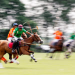 Das Wein & Polo Festival beim Rhein Polo Club Düsseldorf
