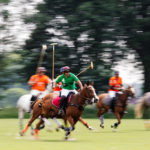 Das Wein & Polo Festival beim Rhein Polo Club Düsseldorf