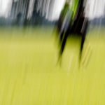 Das Wein & Polo Festival beim Rhein Polo Club Düsseldorf
