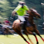 Das Wein & Polo Festival beim Rhein Polo Club Düsseldorf