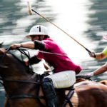 Das Wein & Polo Festival beim Rhein Polo Club Düsseldorf