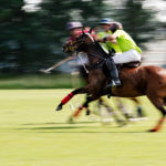 Juan Correa - Das Wein & Polo Festival beim Rhein Polo Club Düsseldorf