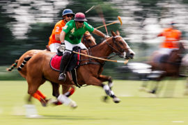 Polo 2018 – When you need some colour!