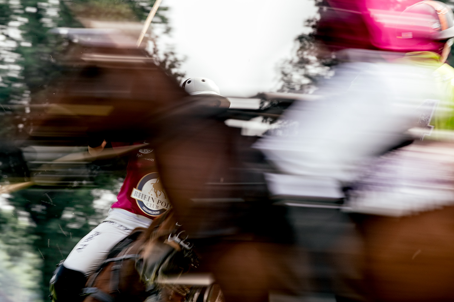 Beim Rhein Polo Club Düsseldorf