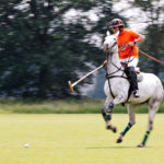 Das Wein & Polo Festival beim Rhein Polo Club Düsseldorf