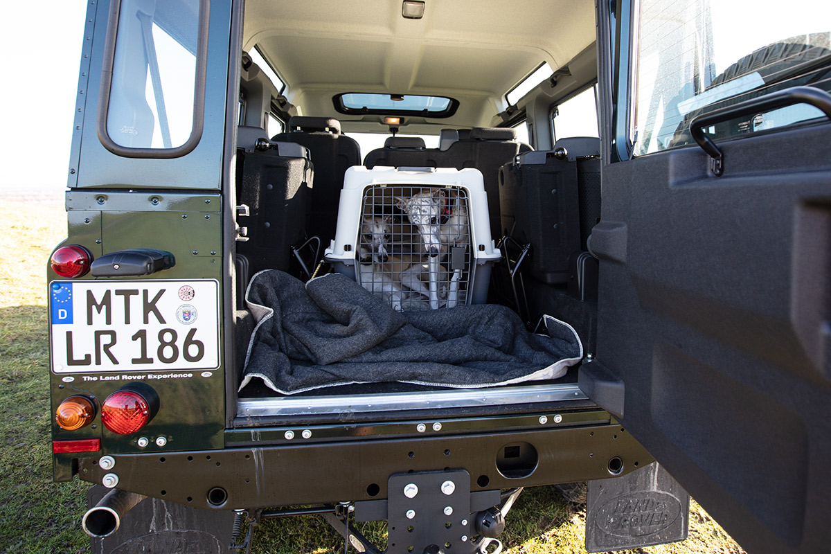 Der Hund im Auto - Amnesty! Unser Defender war ein Testwagen. Deshalb konnten wir weder die hinteren Sitze ausbauen, noch Bretter installieren. Die größte Hundebox, die zwischen die Radläufe passt, ist 60 Zentimeter breit und eindeutig zu klein für zwei Whippetrüden.