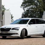 Der Hund im Auto - Eine große Hündin im Kofferraum des Skoda Superb Kombi. Geht gut.
