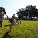 Kühlbox und Fahrrad - zwei nahezu lebenswichtige Utensilien. Her Kirstin Weismüller und Margreet Veenstra (Shiny Sensation's Whippets/Niederlande)