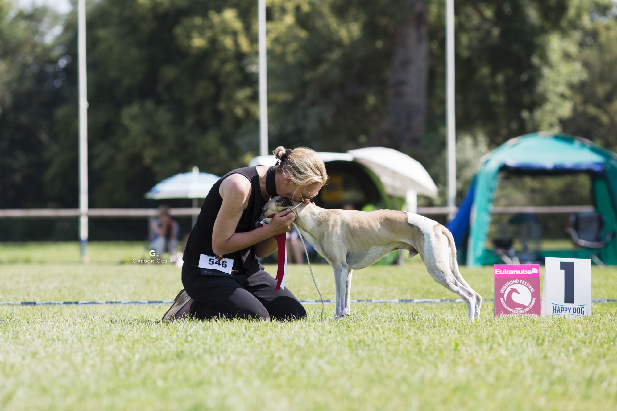 Sehr emotional: Mono gewinnt die Veteranenklasse unter Pauline Oliver beim Sigthound Festival Donaueschingen 2018, Foto: Grzegorz Gebik 2018