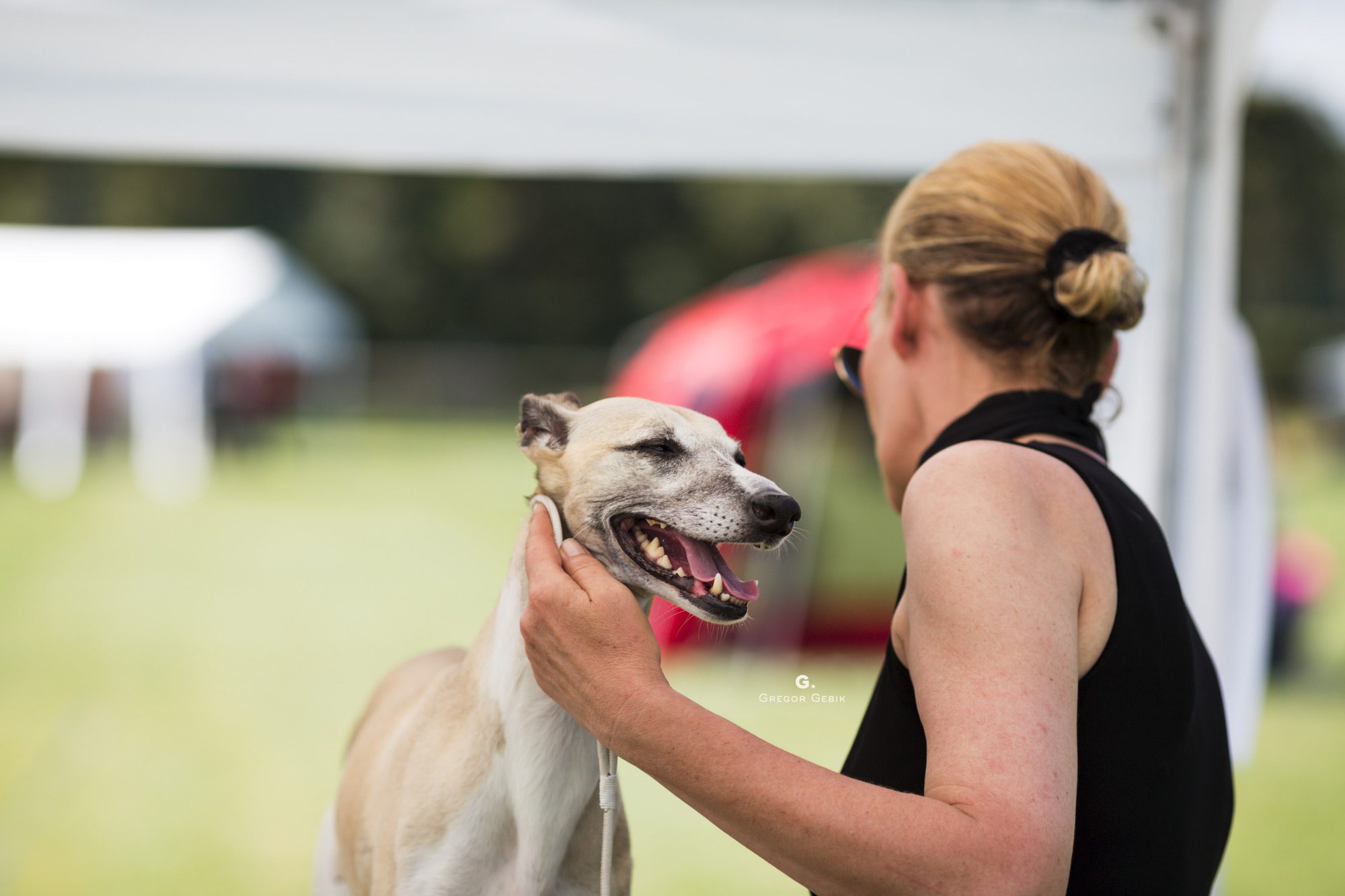 Das Sighthound Festival Donaueschingen 2018 verging wie im Fluge. Bis zum nächsten Mal! Foto: Grzegorz Gebik 2018