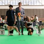 Die Sieger: Esedra Miramare (BOB) und Collooney Tartan Tease