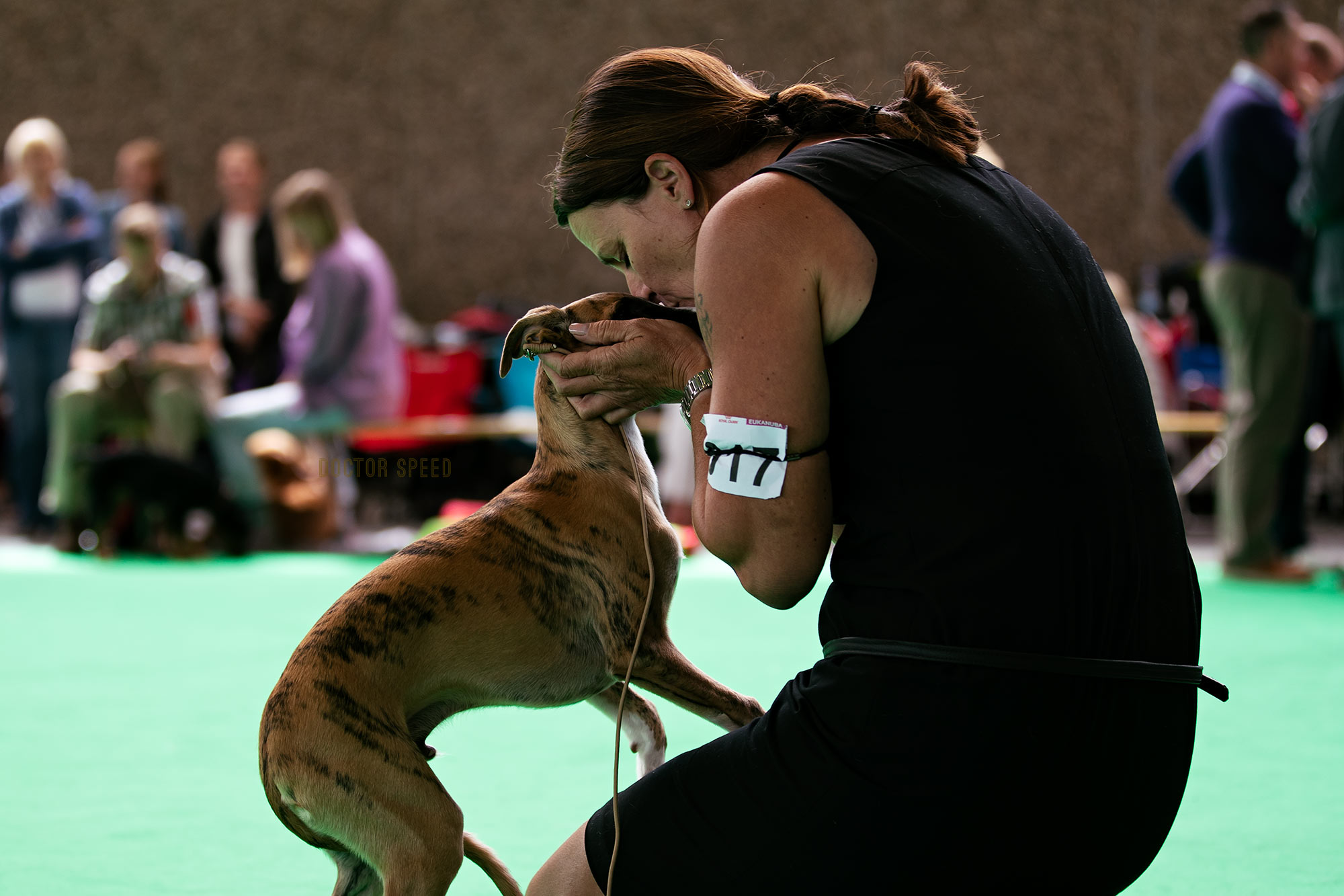 Best Baby of Breed - Shiny Sensation's Upcoming Star gehandelt von Kirstin Weismüller