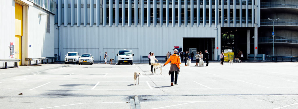 World Dog Show 2018 - Abseits!