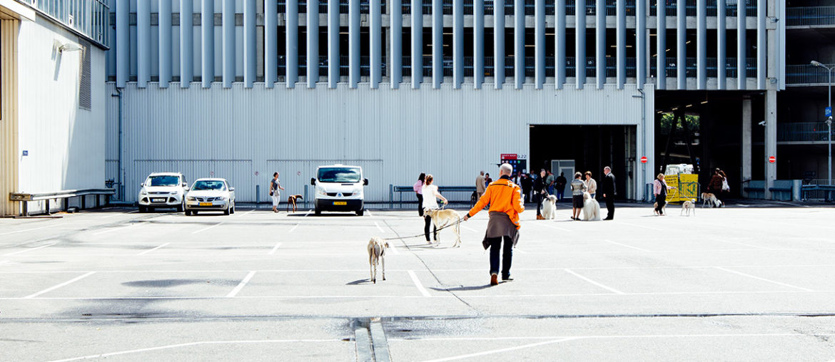 World Dog Show 2018 - Abseits!