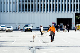 World Dog Show 2018 – Abseits!