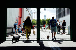 World Dog Show 2018 in Amsterdam - Kommen und Gehen.