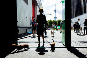World Dog Show 2018 in Amsterdam - Die Löseflächen waren eine Zumutung.