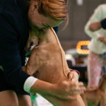 Heli Poikonen mit ihrer Weltjugendsiegerin 2018 - Besties Cookie Dough - ber der World Dog Show 2018 in Amsterdam