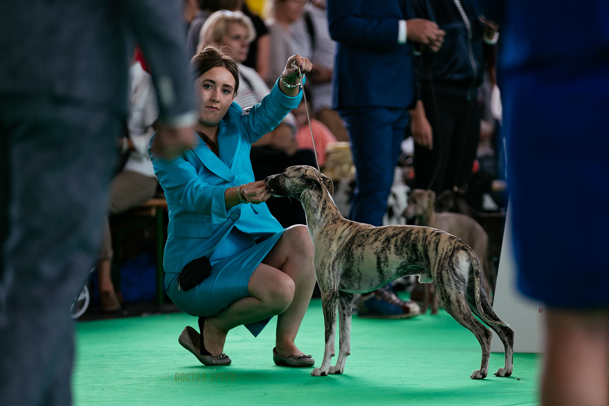 Wold Dog Show 2018