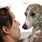 Wold Dog Show 2018