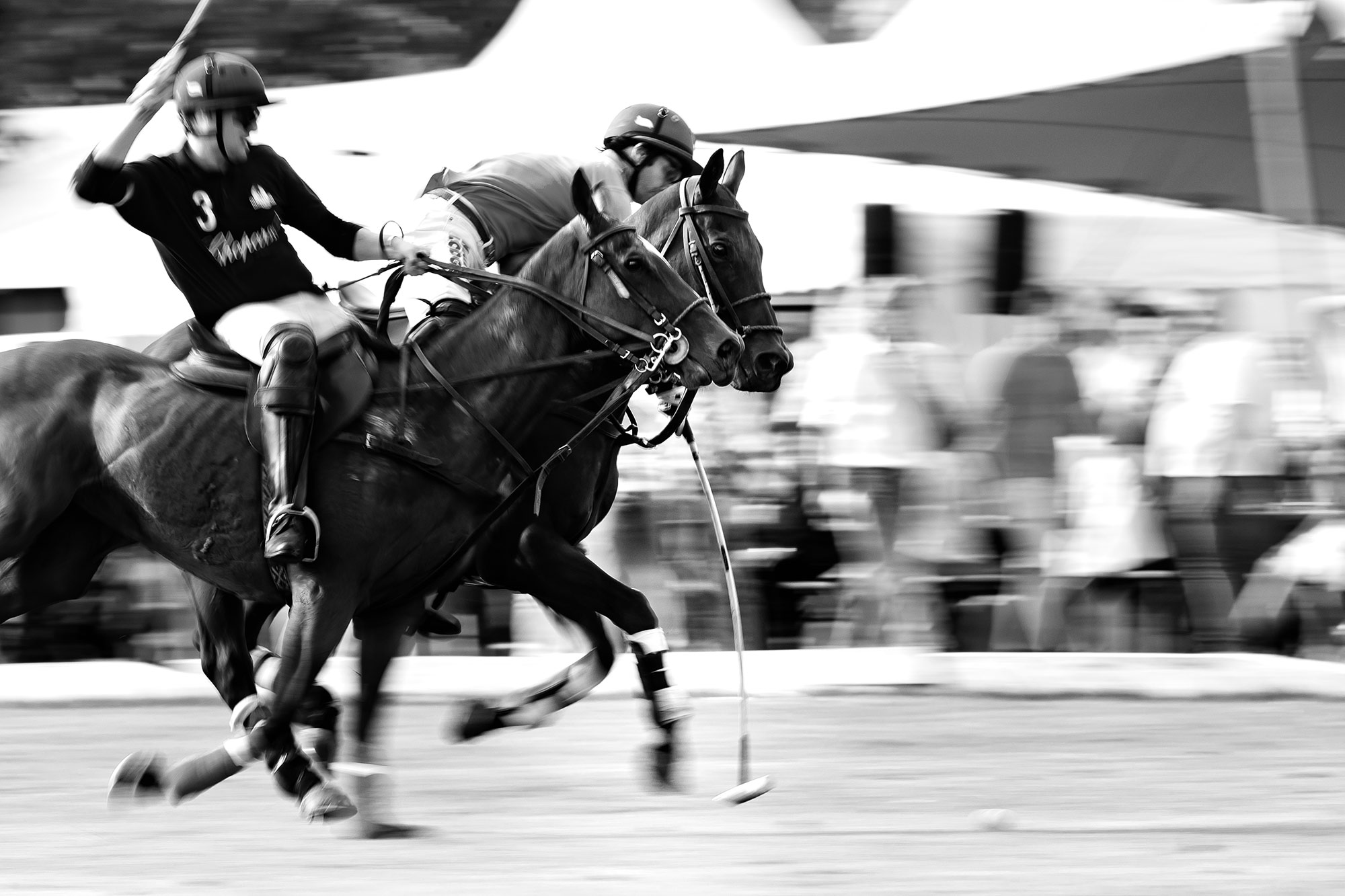 Voll Speed an der Bar vorbei. Beim Polo sollte man unbedingt die Sicherheitszonen respektieren. Alle Action-Bilder habe ich mit der Canon EOS 1D X Mark II und dem Canon EF 300mm 1:2,8L IS II USM gemacht.