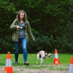 Eierlaufen mit Hindernissen. Die köstlichen Frikadellen auf den Pylonen sollten für Ablenkung sorgen, doch alle Hunde aus meinem Team sind artig mitgelaufen, ganz ohne Rührei zu produzieren.