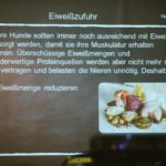 Barbara Thiel referierte gewohnt souverän zum Thema Ernährung.